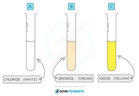 silver nitrate test positive result|AQA GCSE Chemistry Revision Notes 2018 .